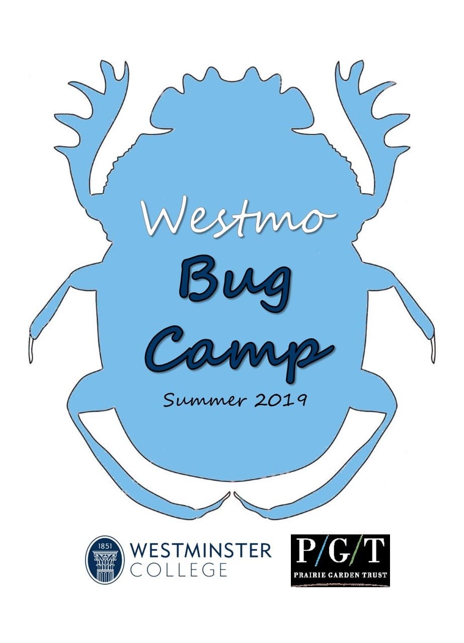 Image of the Bug Camp Logo